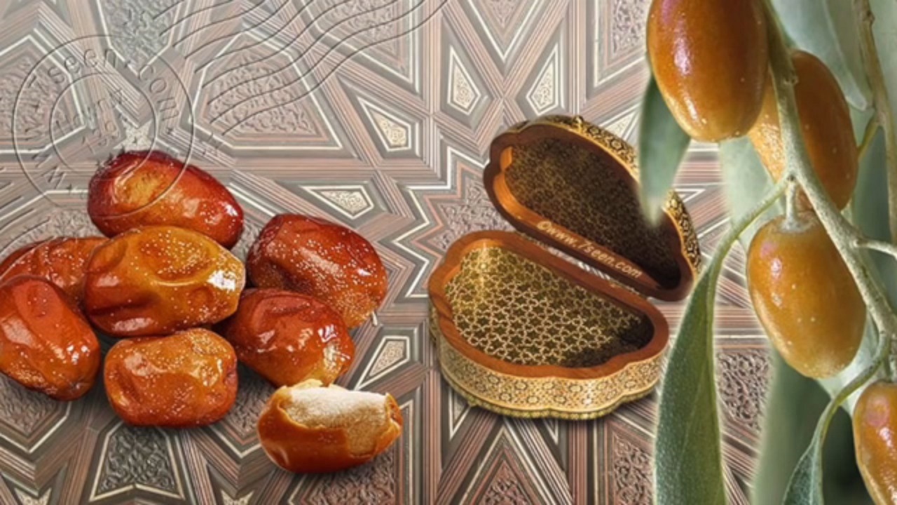 معرفی برخی از خواص و فواید سنجد + فیلم