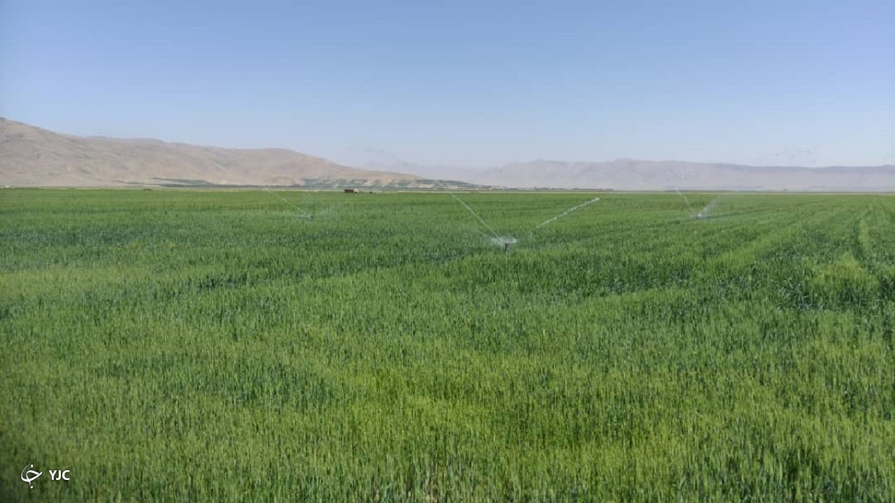 افتتاح طرح سامانه نوین آبیاری در بخش گندمان+تصاویر