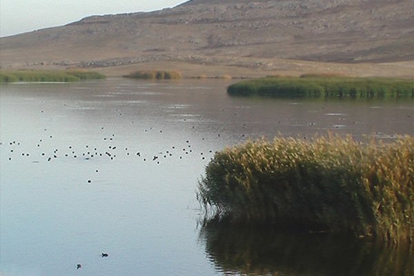 جازموریان جازموریان