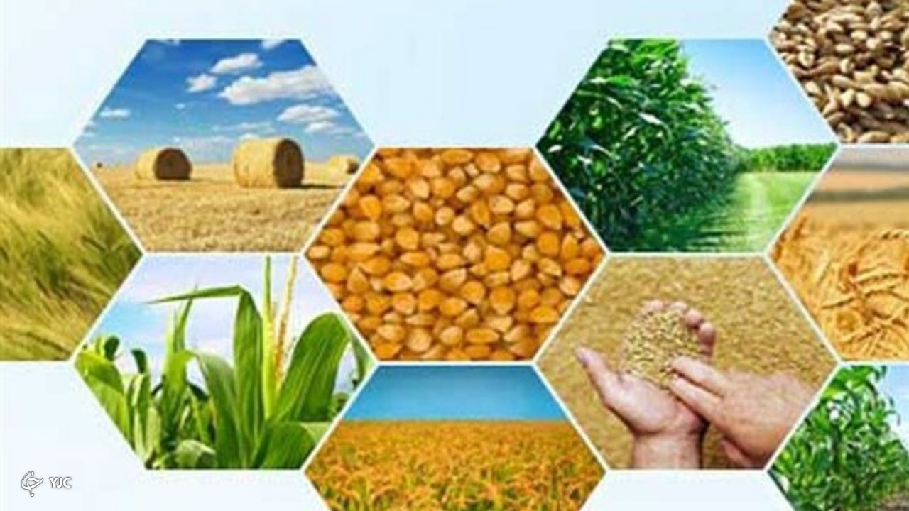 ۹ طرح کشاورزی در میاندوآب بهره‌برداری می‌شود