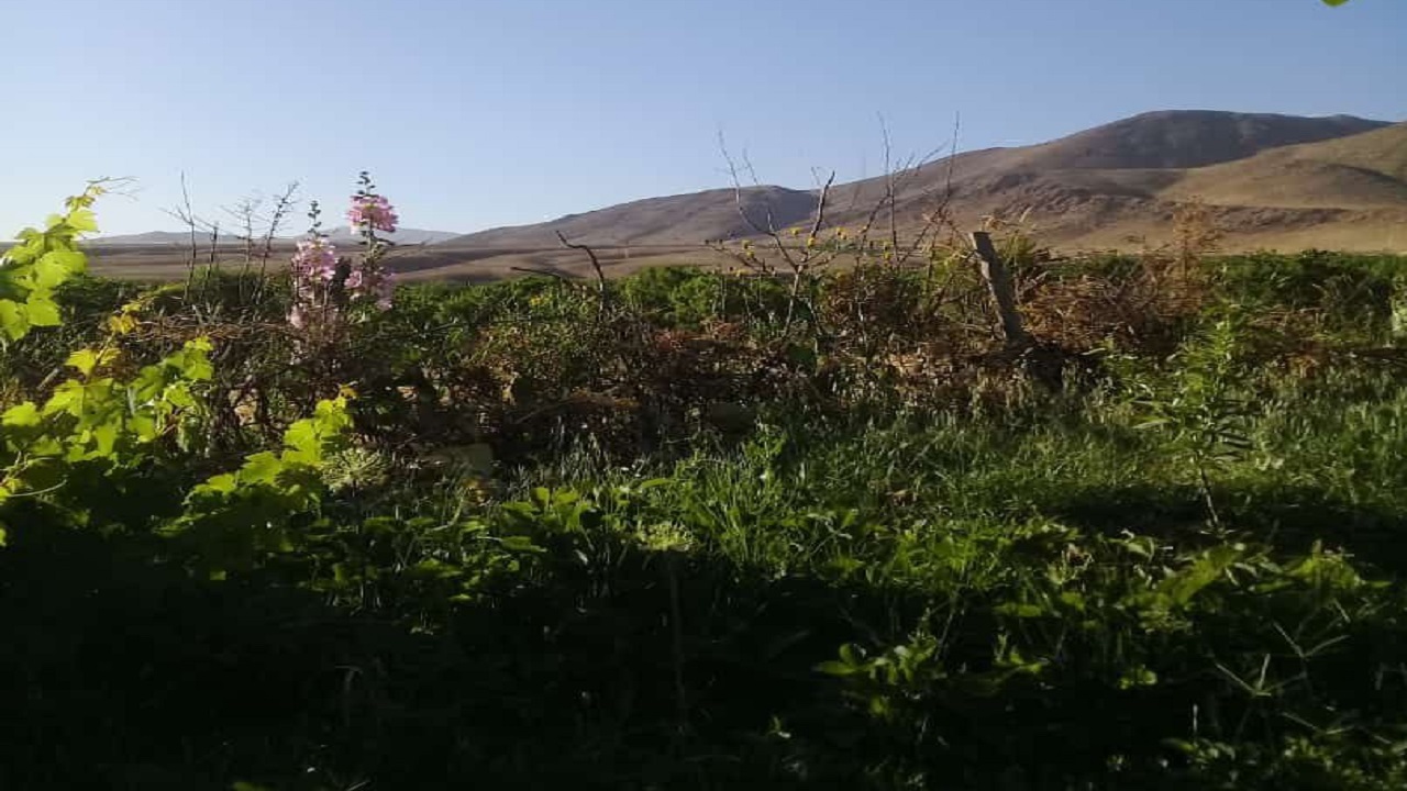 تصاویری از باغات روستای جغدان در لنز دوربین شهروند خبرنگار