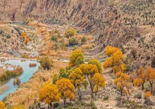 سد بهمن کوار قدیمی ترین سد در حال استفاده ایران