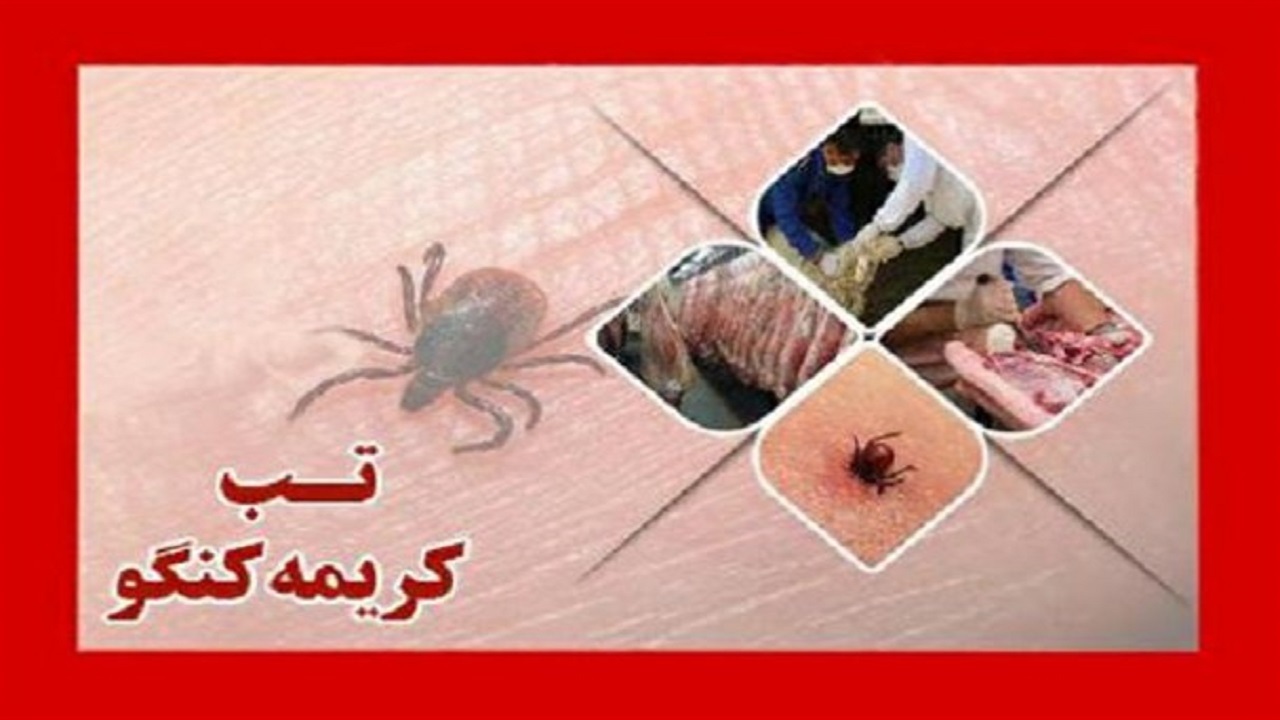 جوان ۳۵ ساله قشمی احتمالا بر اثر ابتلا به تب کریمه کنگو جان باخته است
