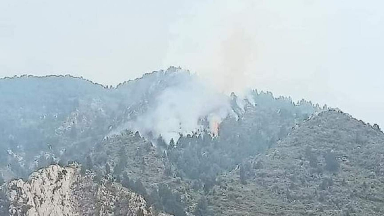 جنگل‌های جلغوزه در خوست دچار آتش سوزی شد