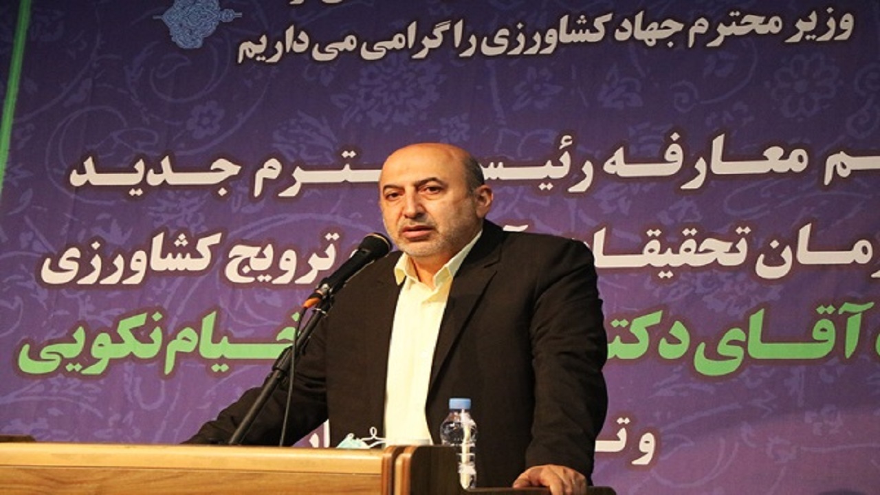 ۲۰ درصد شرکت‌های دانش بنیان کشاورزی می‌شوند