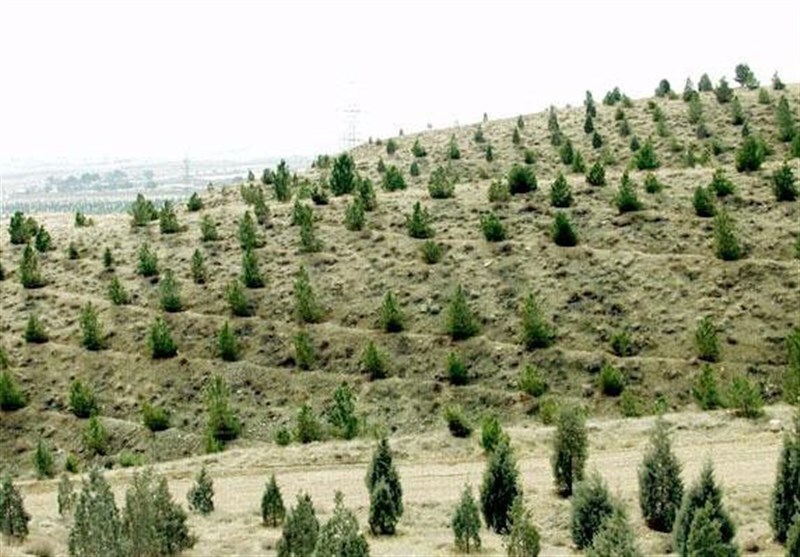 بیابان زدایی 
