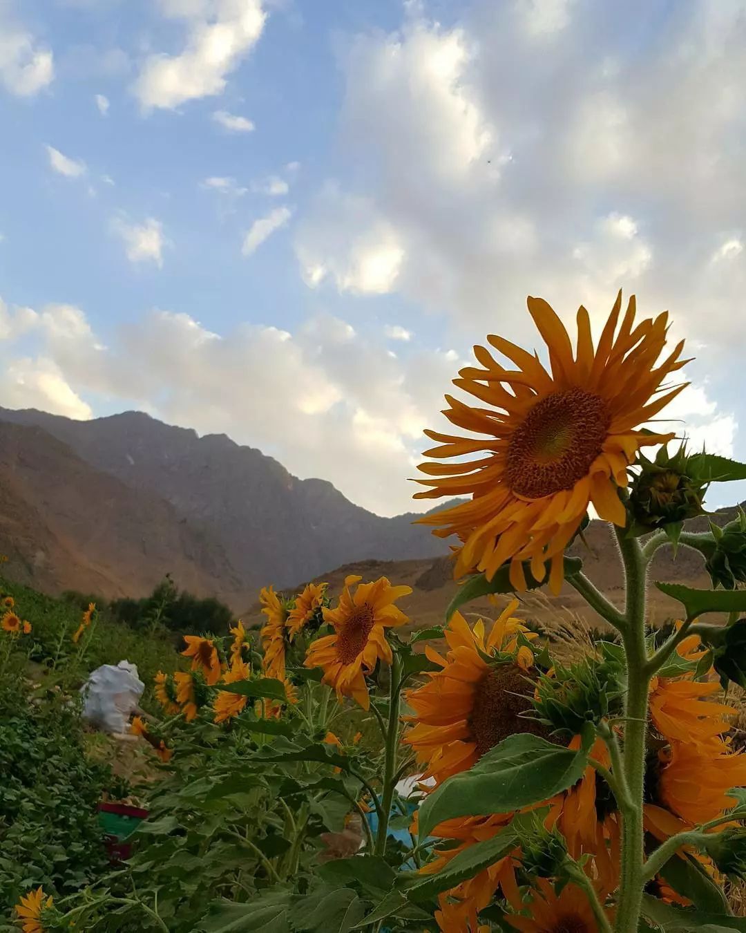 نمایی از روستایی در دل کوهپایه های قلل اشترانکوه + تصاویر