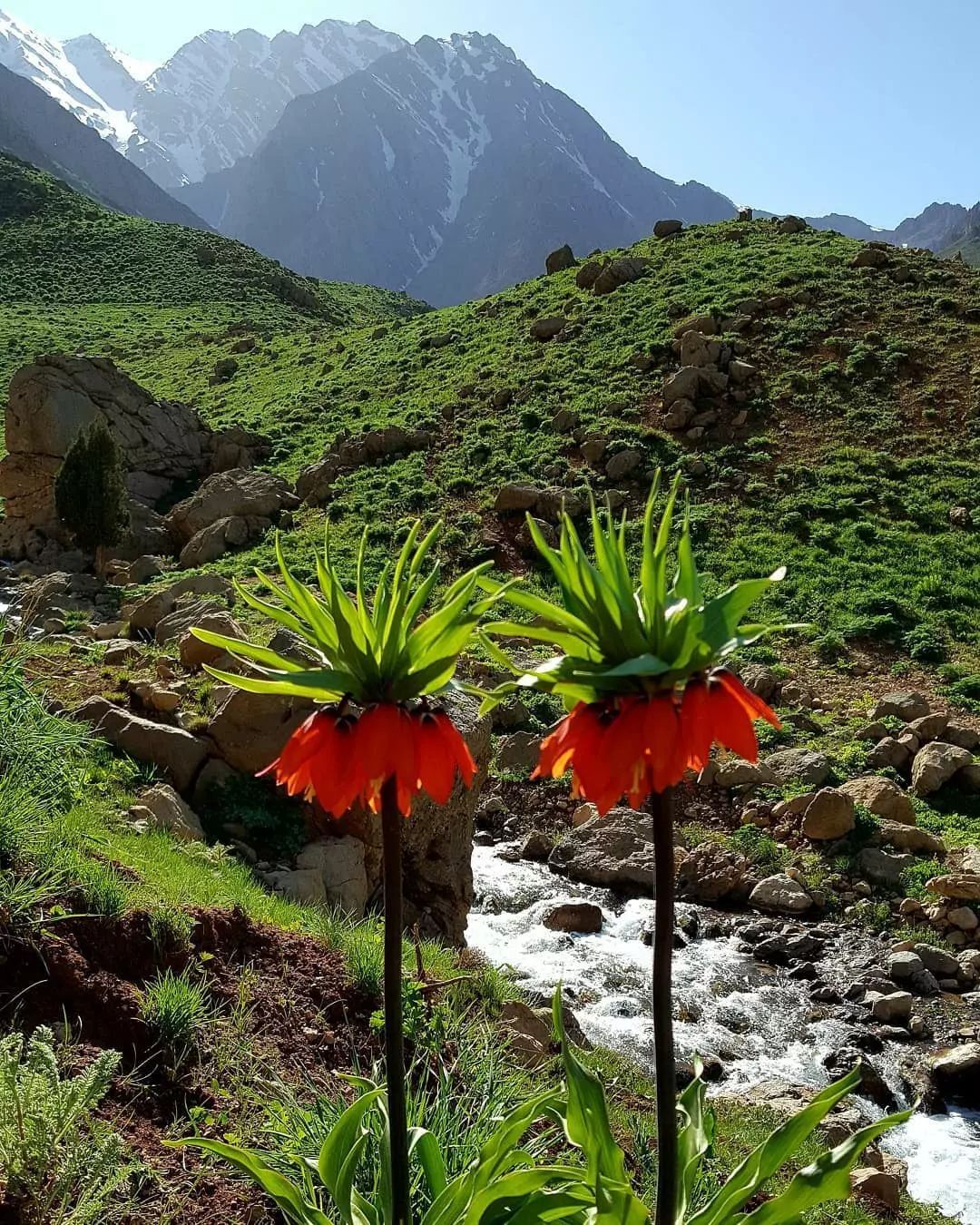 نمایی از روستایی در دل کوهپایه های قلل اشترانکوه + تصاویر