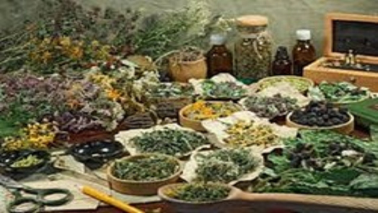 شناسایی ۱۲۰۰ گونه گیاهی در کرمانشاه
