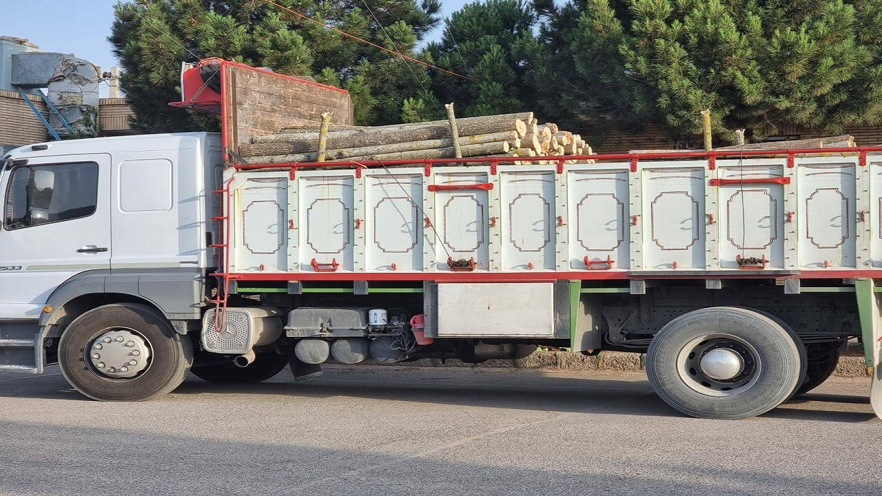 کشف ۱۵ تن چوب قاچاق در شهرستان زرند