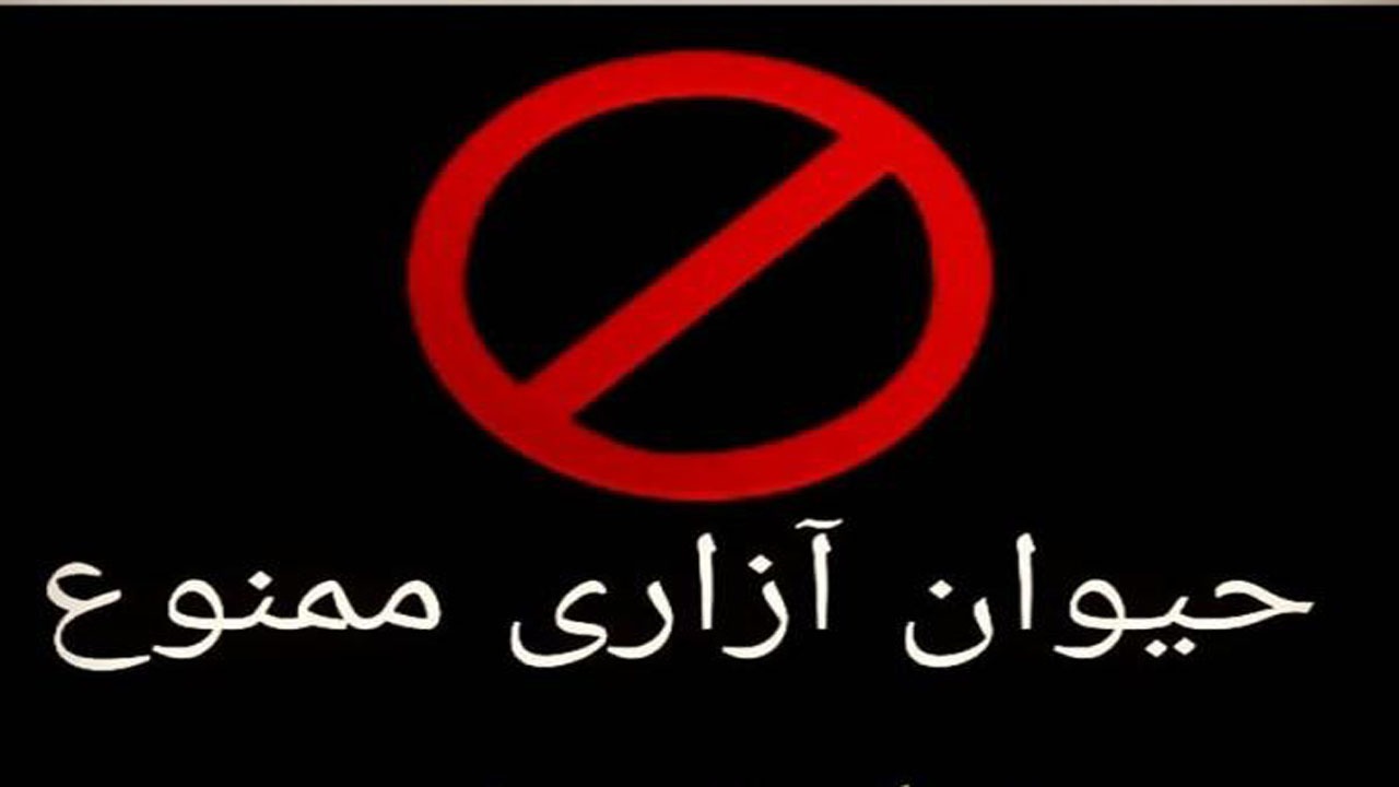شناسایی عامل انتشار کلیپ حیوان آزاری