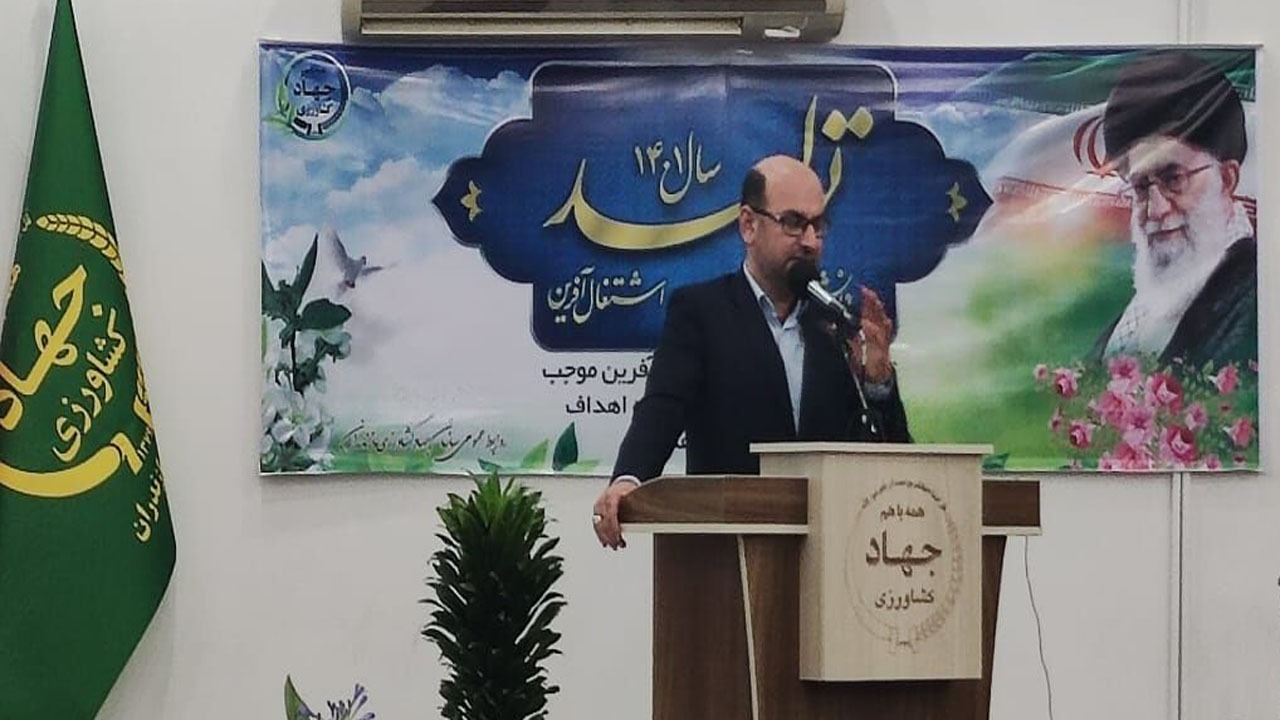 نصف شدن نیاز کشور به واردات برنج