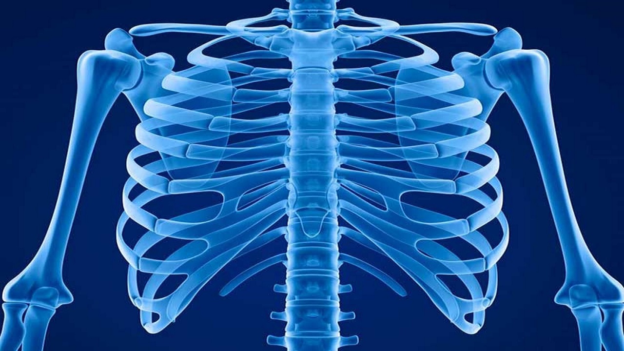 فرآیندجراحی دنده‌های آسیب دیده + فیلم