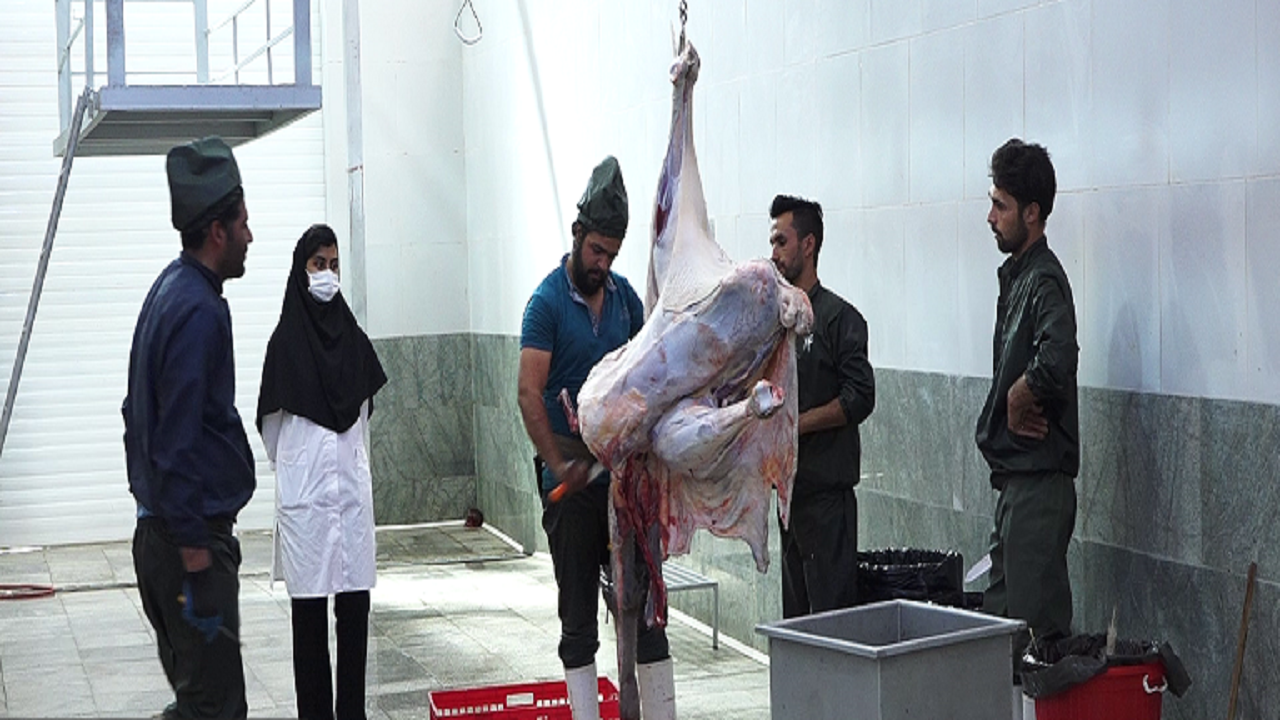افتتاح اولین کشتارگاه صنعتی شترمرغ خراسان جنوبی