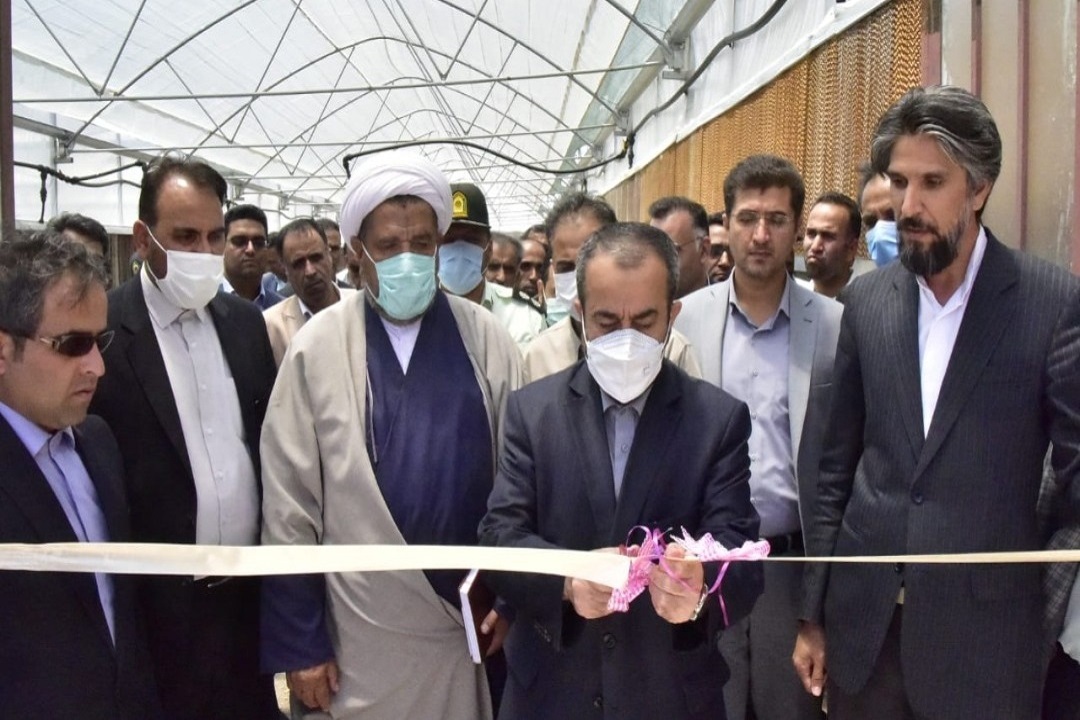 بهره‌برداری از ۲ واحد گلخانه در شهرستان نهبندان