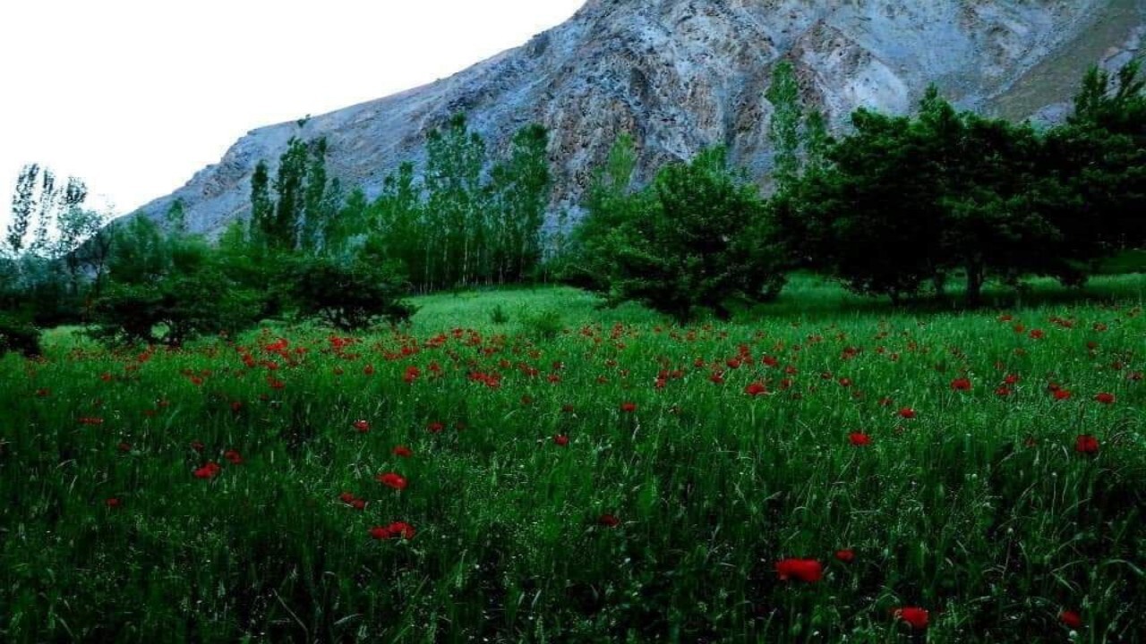 ولسوالی بلخاب در ولایت سرپل + تصاویر