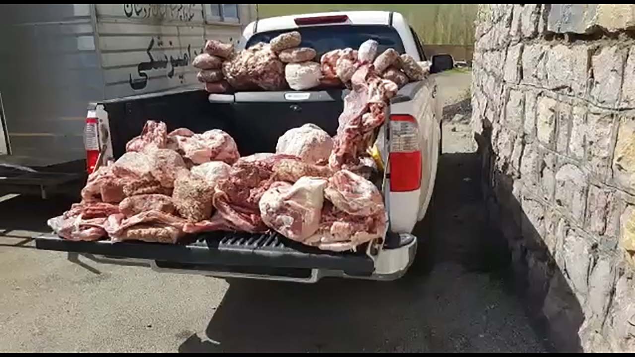 کشف بیش از ۹۰۰ کیلو فرآورده دامی خام فاسد در قروه