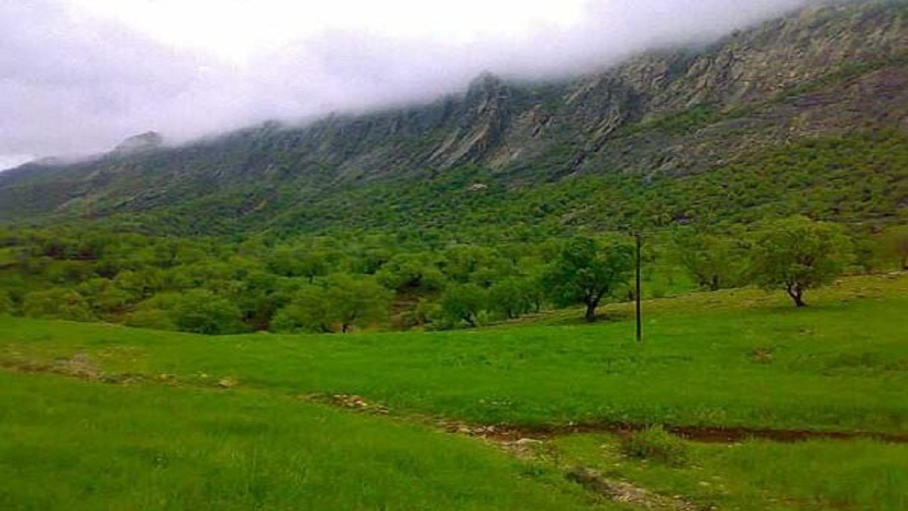 از