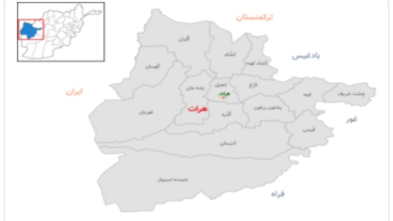 باشندگان هرات باید مالیات ۱۴ سال را به طالبان بپردازند