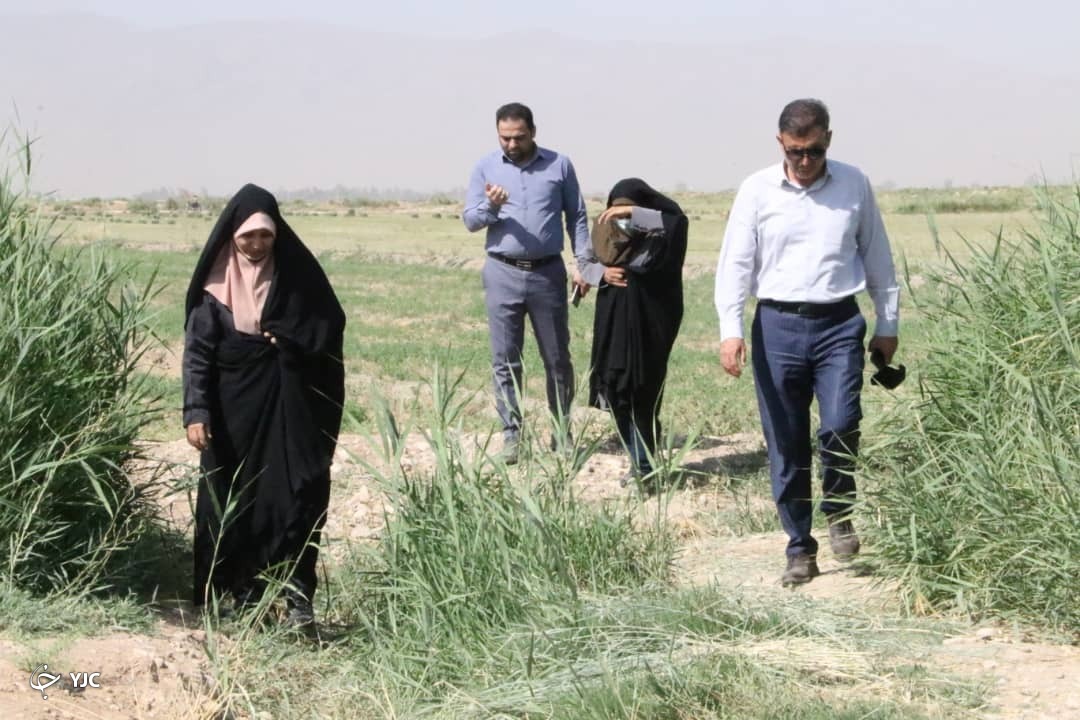 رها سازی پساب خانگی تهدیدی برای سلامت شهروندان