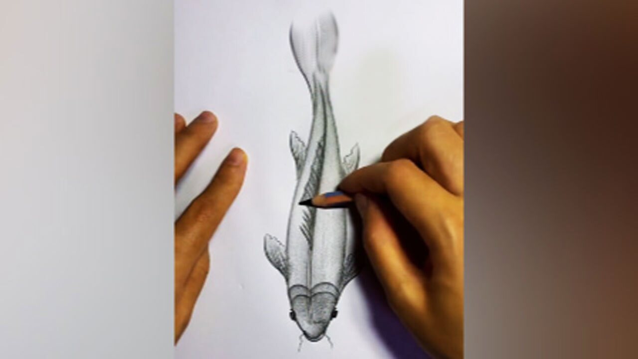 مهارت طراحی با استفاده از یک مداد سیاه + فیلم