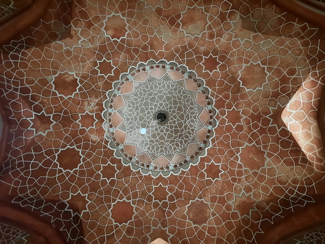 قطب الدین حیدر تربت حیدریه