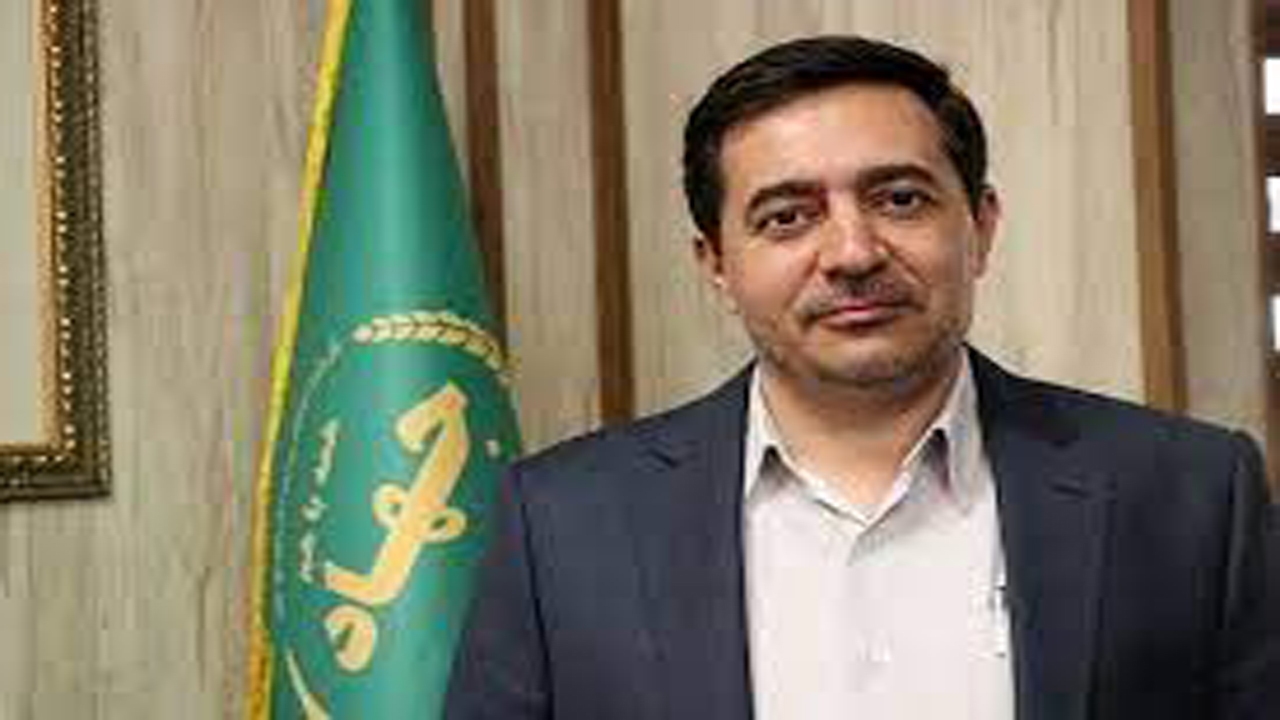 الگوی کشت نیازمند سیاست حمایتی