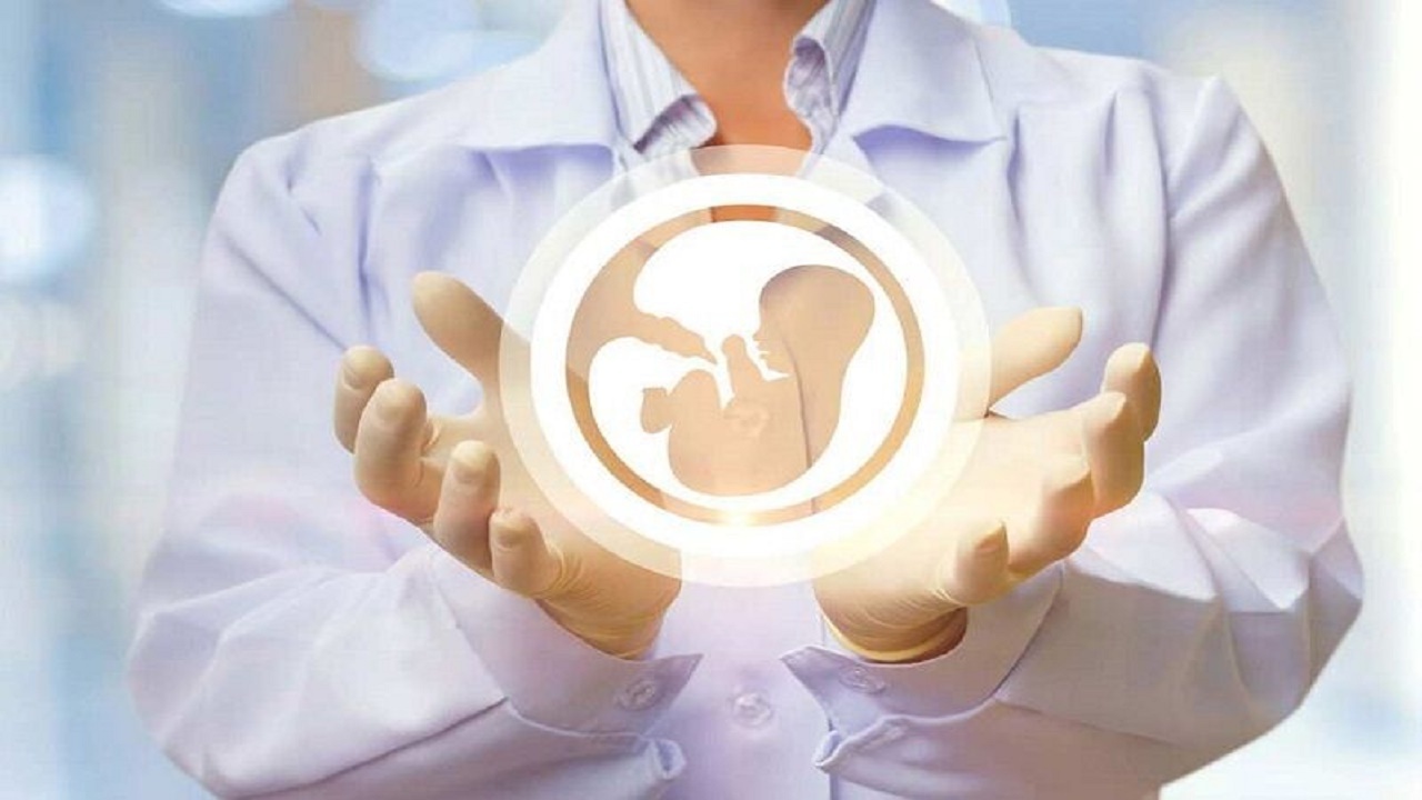 ۲۰ درصد زوجین در استان همدان نابارور هستند