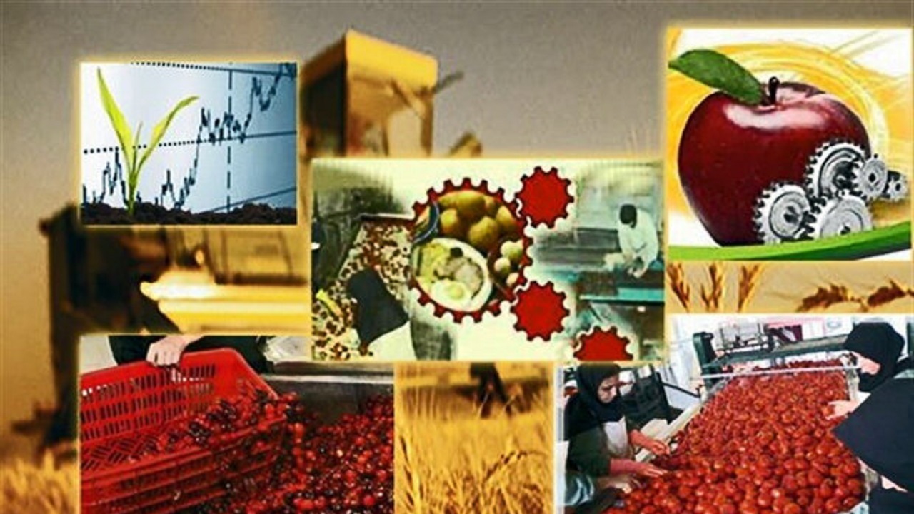 صنایع تبدیلی نیاز اصلی کشاورزی ایلام