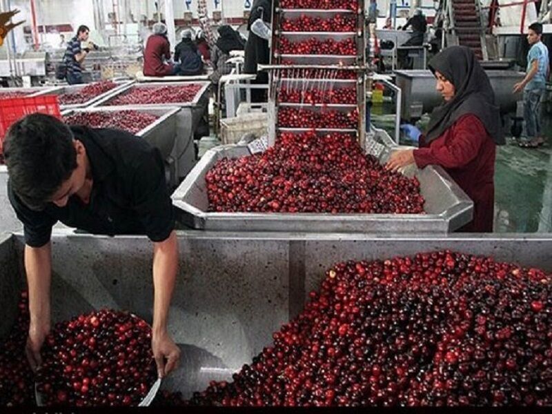 صنایع تبدیلی نیاز اصلی کشاورزی ایلام