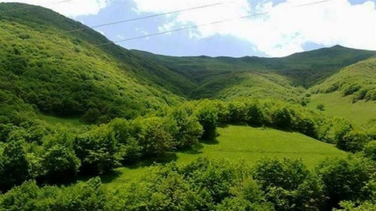 احیا و غنی سازی ۲۲ هکتار از جنگل فندقلوی نمین