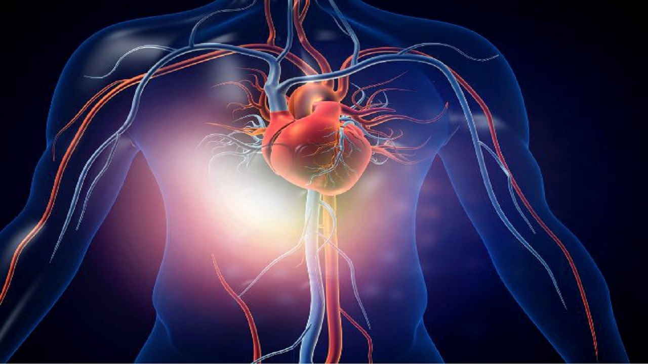 ژن درمانی قلب بیمار را احیا می‌کند