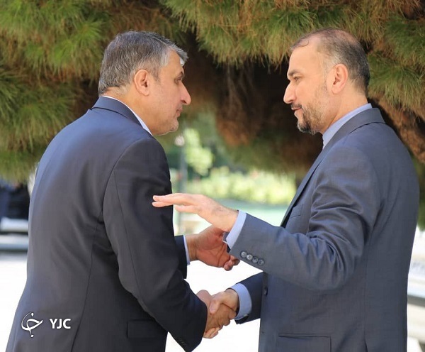 نشست مشترک وزیر امور خارجه و رئیس سازمان انرژی اتمی برگزار شد