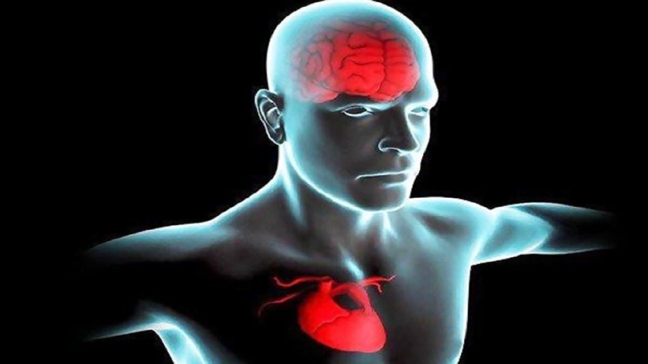 افزایش خطر زوال عقل به دلیل مشکلات قلبی