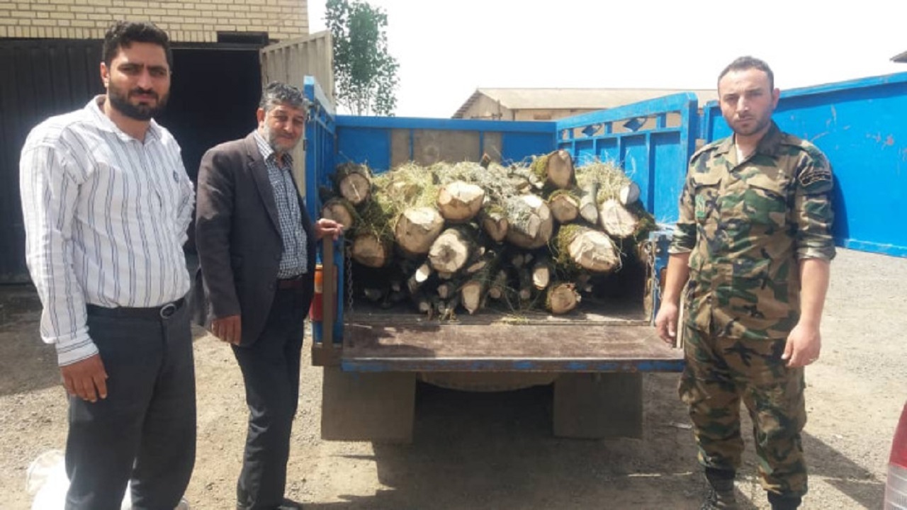 کشف ۷۰ اصله قنداق قاچاق جنگلی در شهرستان نمین