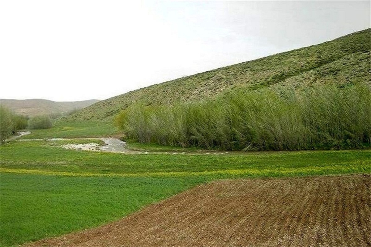 رفع تصرف میلیاردی از اراضی ملی استان همدان
