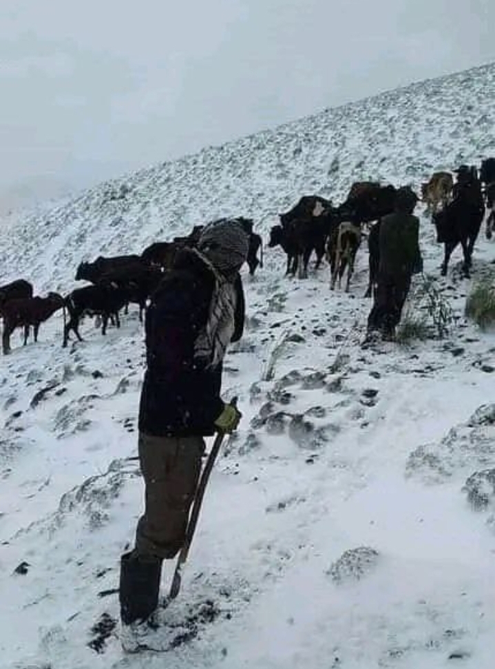 لباس سفید زمستان در آخرین روزهای بهار در بامیان + تصاویر