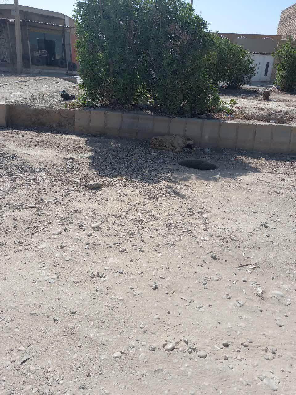 از