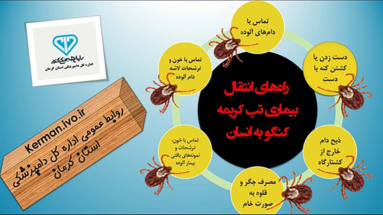 تب  کریمه کنگو در کمین کشتار‌های دام خارج از کشتارگاه
