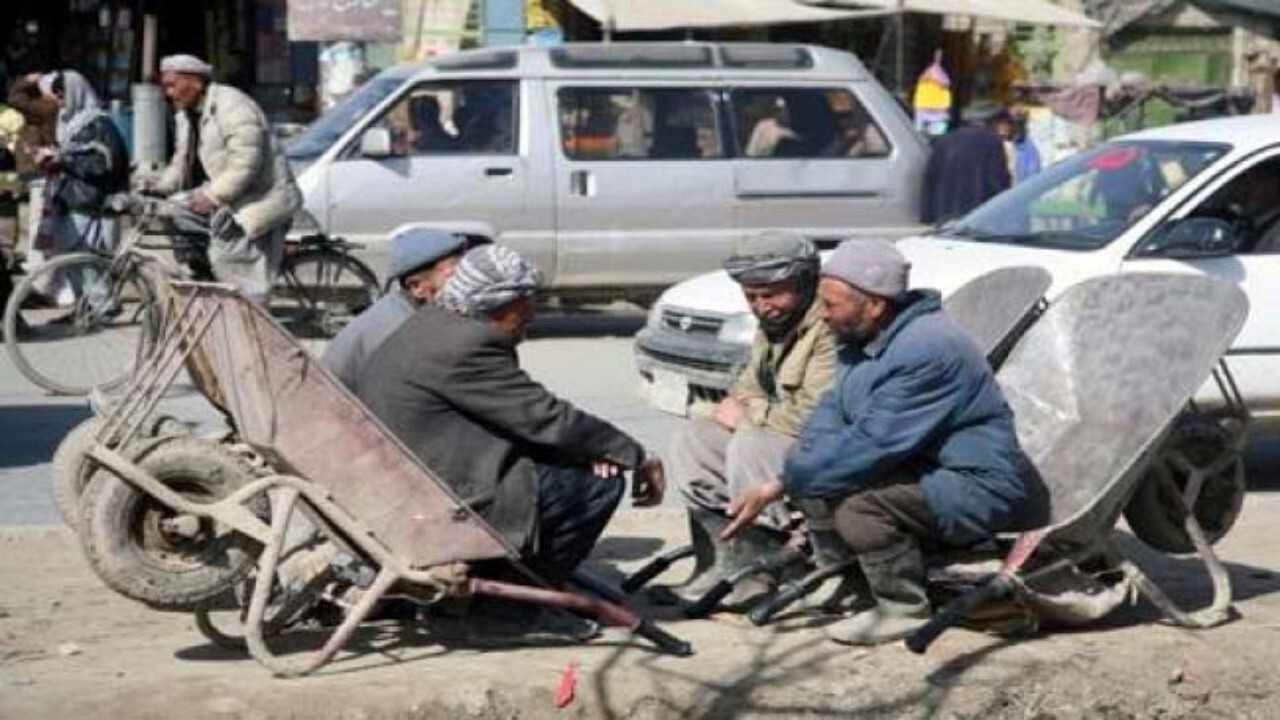 ۶۵ درصد شرکت‌ها در افغانستان کارمندان خود را اخراج کرده‌اند