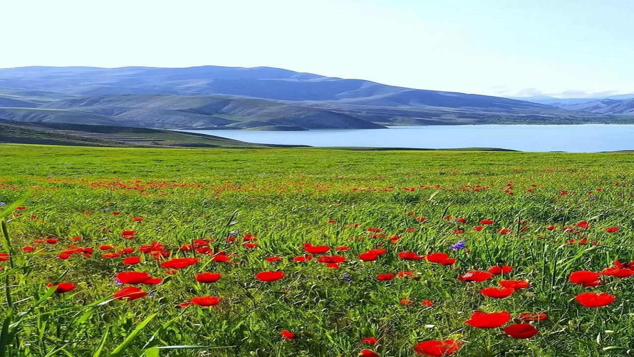 طبیعت بهاری دریاچه سد بارزو در قاب تصاویر