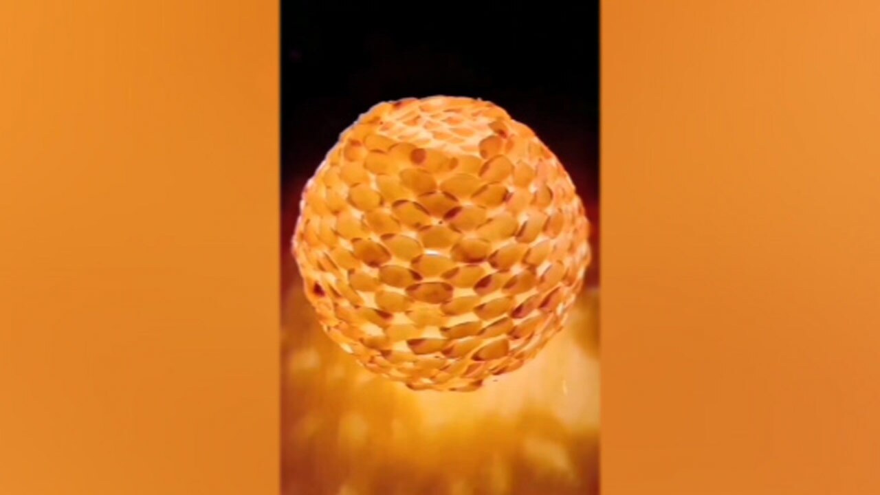 ساخت یک وسیله دکوری با پوست پسته! + فیلم