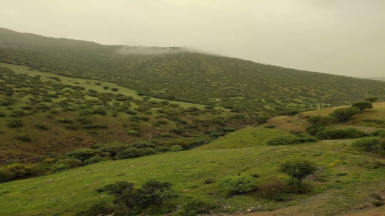 طبیعت گردی از