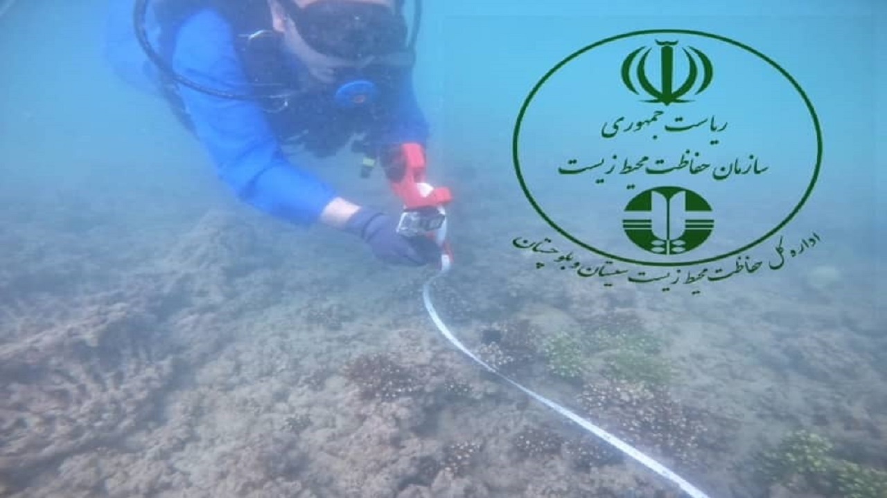 پایش سلامت اکوسیستم‌های مرجانی در روز جهانی مهاجرت ماهیان