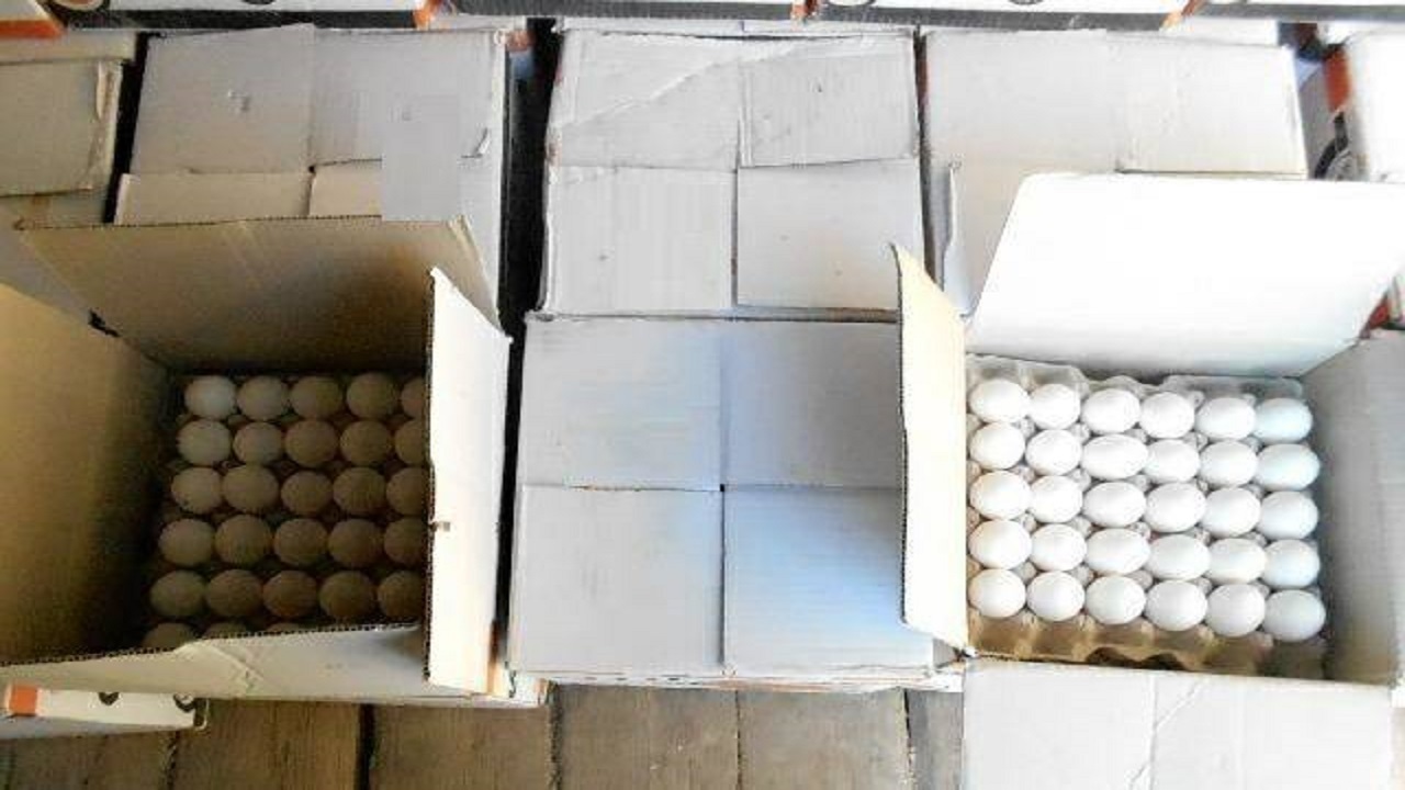 کشف بیش از ۳ تن تخم مرغ احتکاری در زاهدان