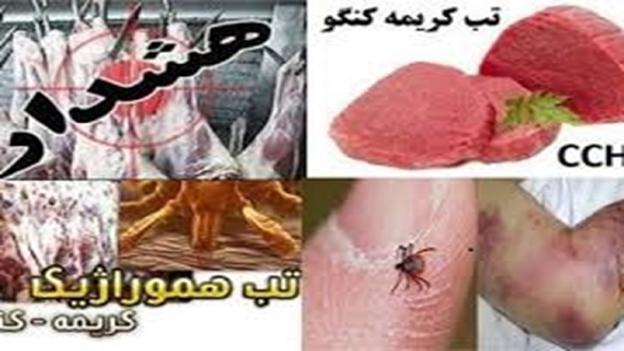 احتمال بروز تب کریمه کنگو با شروع فصل گرما
