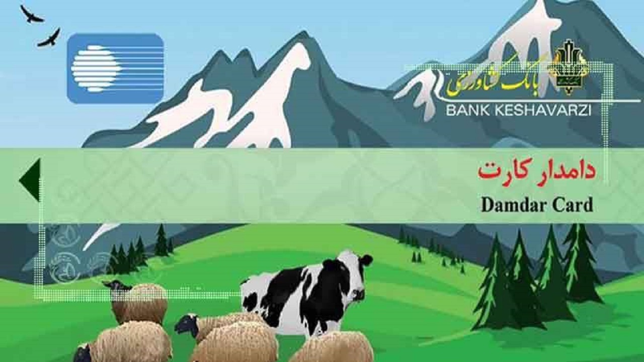 صدور نخستین دامدار کارت در شعبه مرکزی ایرانشهر