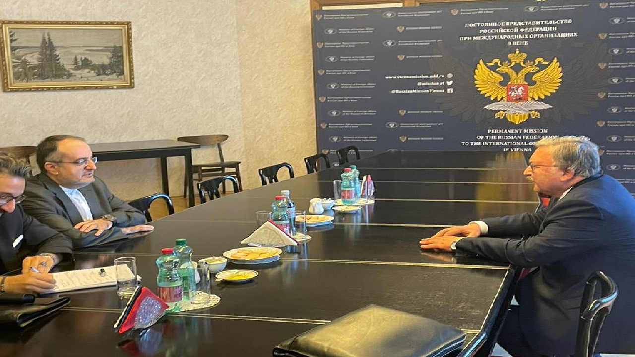دیدار اولیانوف با نماینده ایران در وین در آستانه نشست شورای حکام