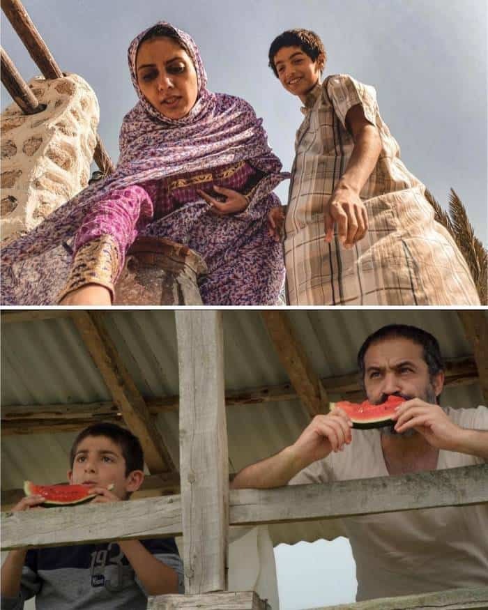 از نزدیکی علف زار به فروش ۱ میلیاردی تا فروش سه رقمی یک فیلم
