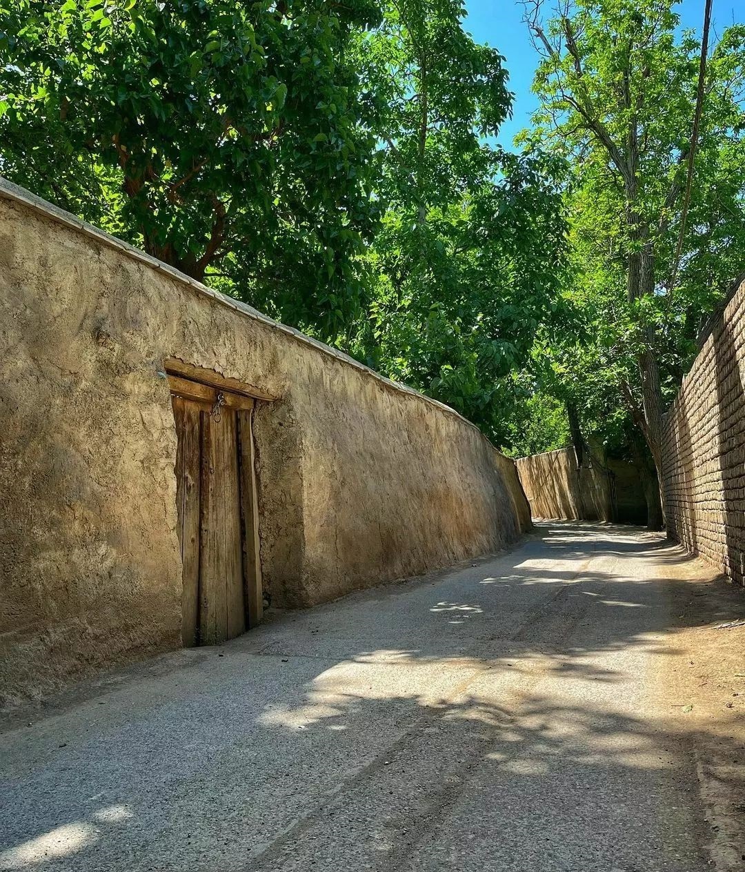 نمایی از کوچه باغ&zwnj;های بهاری کن + تصاویر